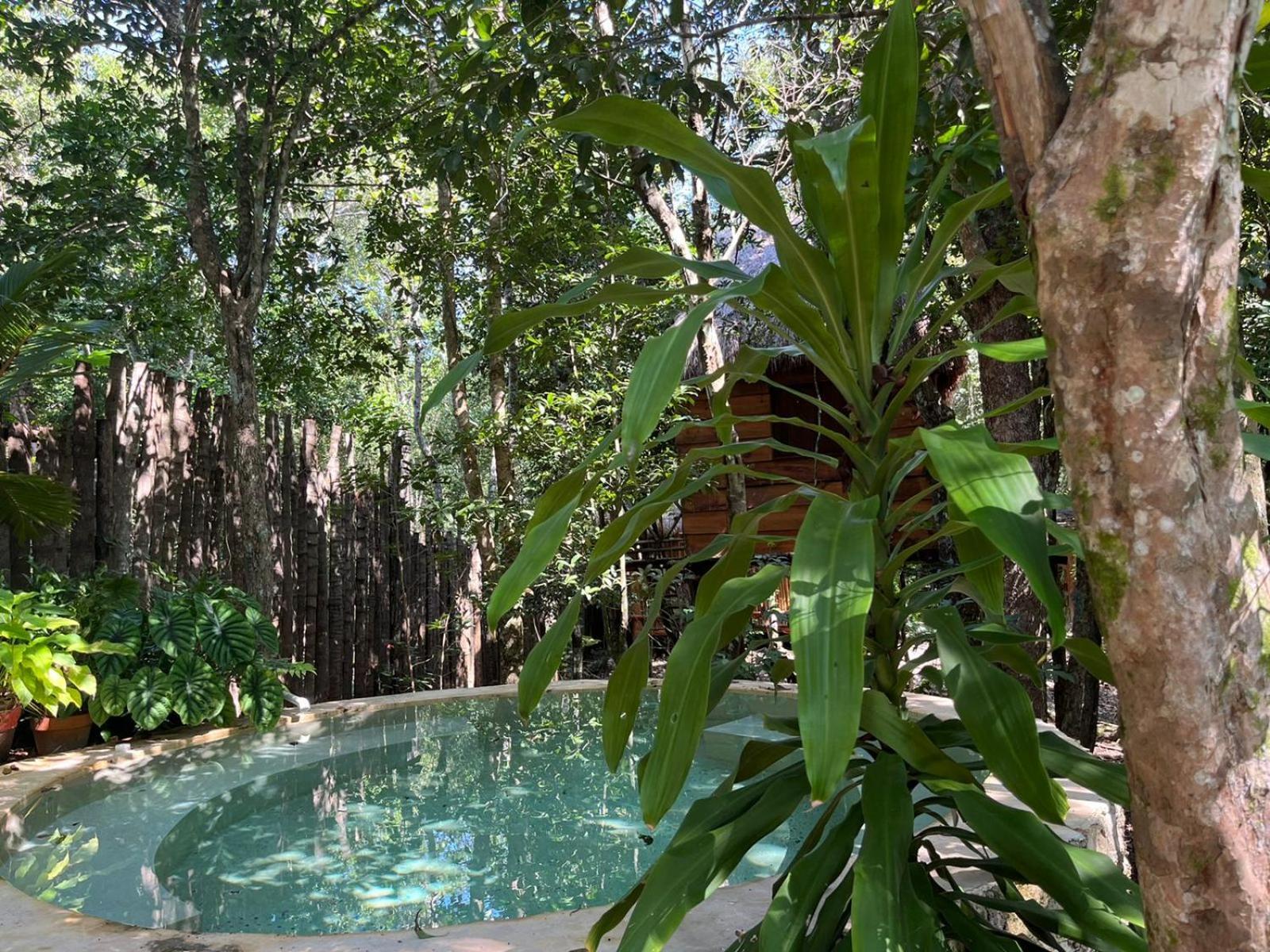 Selvaluna Eco-chic Tulum